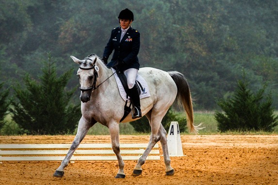 Organic feed for horses