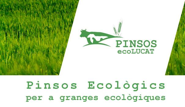 pinsos ecològics ecolucat